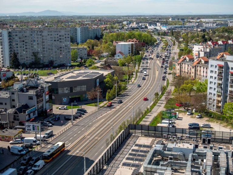 wyszukiwarka samochodów